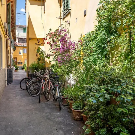 Cozy In Lägenhet *
